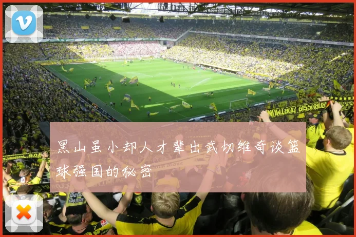 黑山虽小却人才辈出武切维奇谈篮球强国的秘密