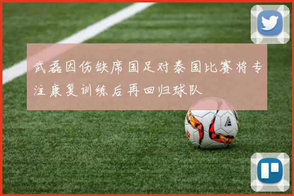 武磊因伤缺席国足对泰国比赛将专注康复训练后再回归球队